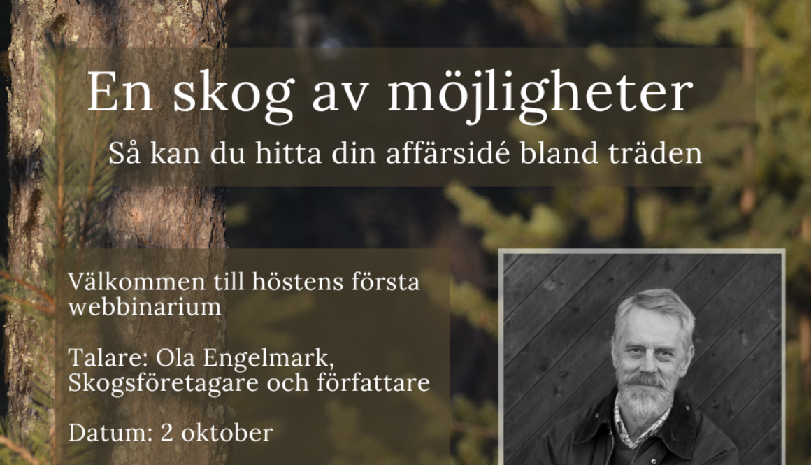 En-skog-av-mojligheter-sa-kan-du-hitta-din-affarside-bland-traden